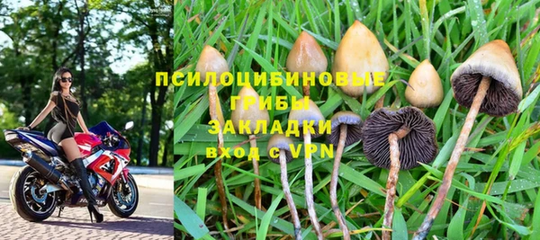 прущая мука Осташков